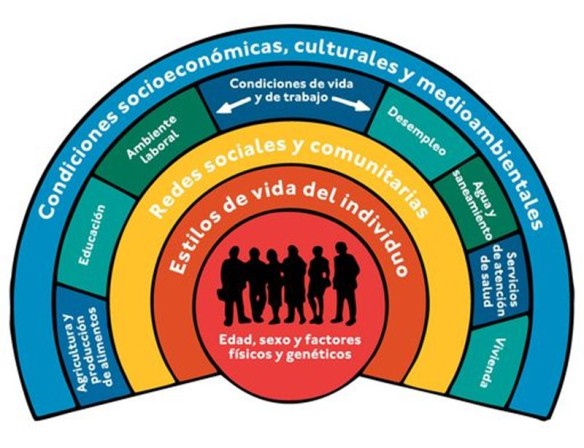 LA RECETA DE LA SALUD: Introducción a los determinantes sociales. Boletín  N47. Invierno 2021 | Asociación Madrileña de Salud Mental